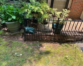 Plants of all kinds and sizes 