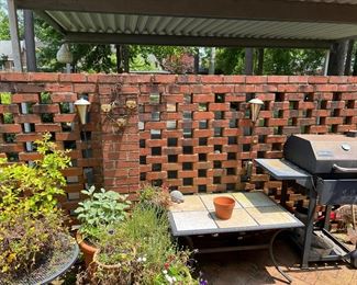 Plants, grill, outdoor table 