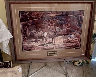 Rams on Hillside Venus '98 116/1500