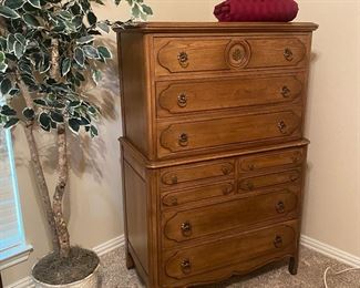 Ficus tree and chest of drawers