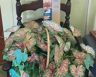 Ladder Back Chair/Floral Basket