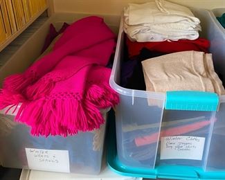 Ladies Scarves and Accessories