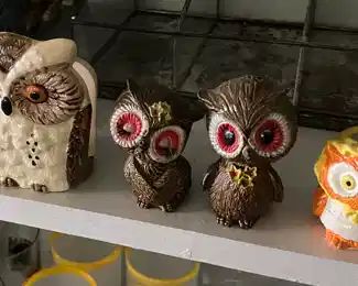 Owls