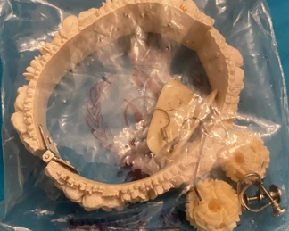 Carved Bone Bracelet and Earrings