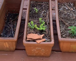 Clay Planters