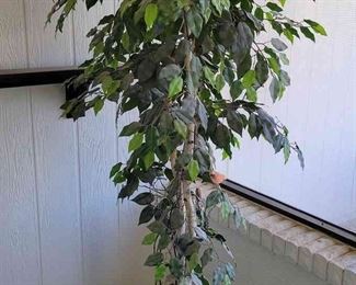 Artificial Ficus Tree
