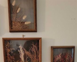 Pressed Plant Wall Art