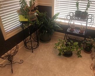 assorted iron plant stands