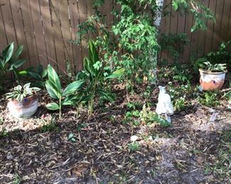 Plants and cement vintage dwarf/gnome