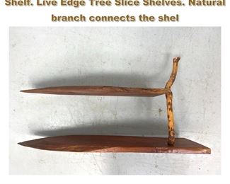 Lot 1953 Studio Wood Worker Double Wall Shelf. Live Edge Tree Slice Shelves. Natural branch connects the shel