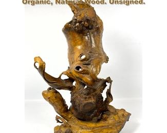 Lot 1991 27 inch Burl Root Sculpture. Organic, Natural Wood. Unsigned. 