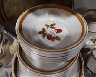 "Luscious" stoneware pattern by Mikasa.