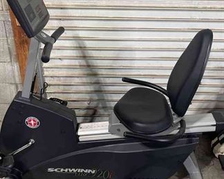 Schwinn Recumbent Bike