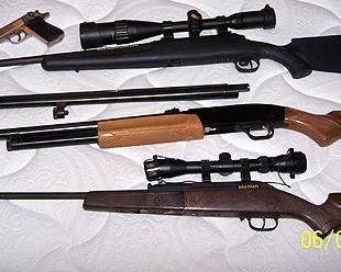 Walter PPK 380 handgun, Savage 222 w / 4 x 16 scope, Mossberg 12 gauge w/ extra barrel and Beeman pump pellet gun w 3 x 9 scope