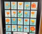 wwatercolors of california poppies4051 t