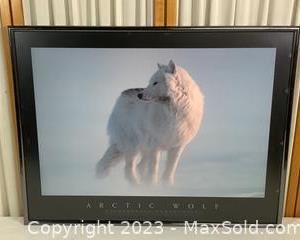 wframed poster print arctic wolf4121 t