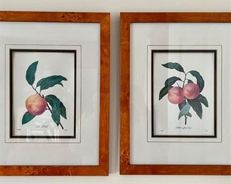Framed Peach Prints