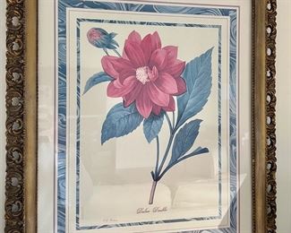 "Dalea Double" Lithograph