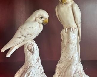 Decorative Parrots
