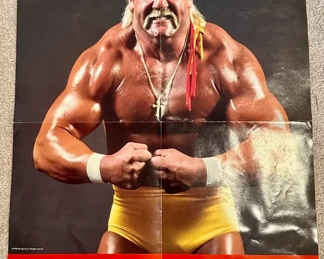 Hulk Hogan Poster