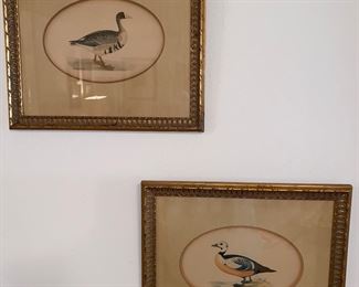 Vintage duck prints
