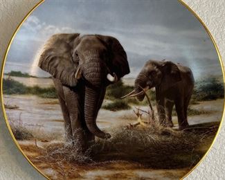 Grand Safari Images of Africa Plate Small