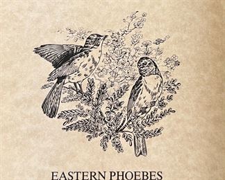 Lenox Eastern Phoebes