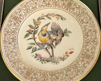 Lenox Eastern Phoebes