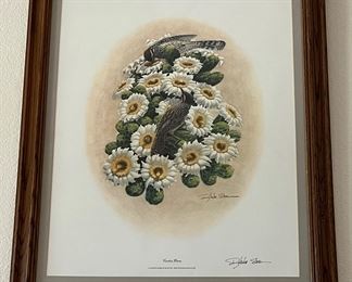 Art Print Cactus Wren by Richard Sloan Signed 