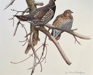 Art Audubon Reprod Band Tailed Pigeon