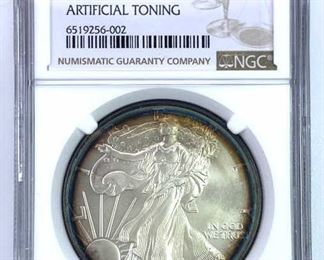 2000 American Silver Eagle, NGC Unc Details