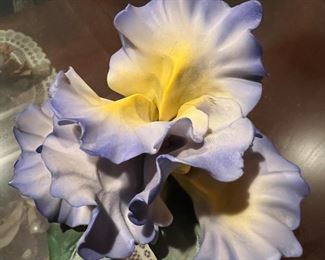 Capodimonte Orchids