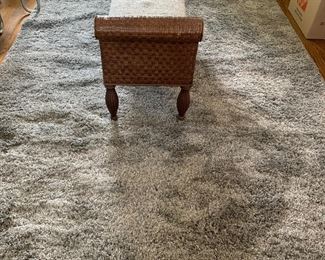 Newer shag rug