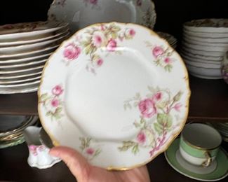 THESE ONES SOLD Limoges Porcelain Closeup