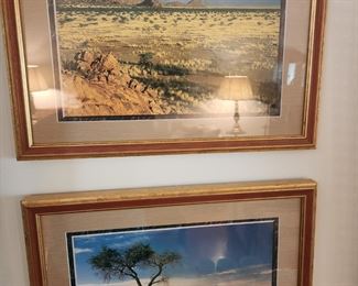 photos from world travels