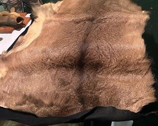 Deer Hide