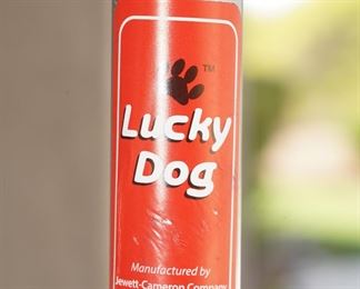 Lucky Dog dog run