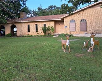 The deer are NOT for sale.