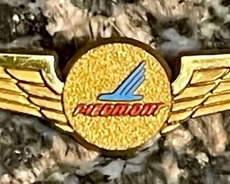 Vintage Piedmont Airlines Wings