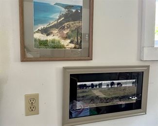 Many Northern Michigan framed photos