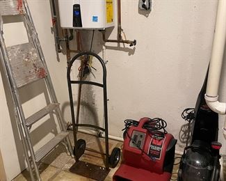 Blower and carpet cleaner