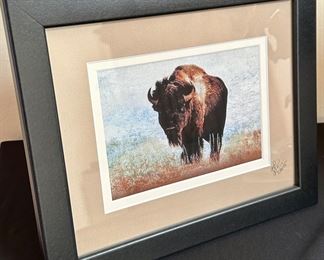 Sharp Looking Buffalo!  Signed by artist on the matting.