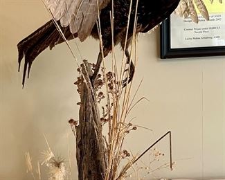 Taxidermy I think it’s a pheasant!