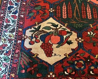 5'5" wide x 13'6" rug.