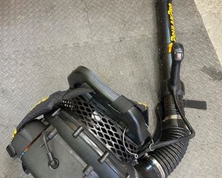 Poulan Pro PR 48BT gas leaf blower