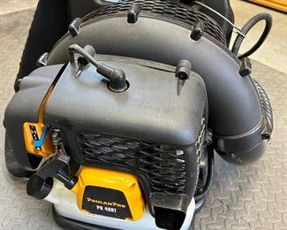 Poulan Pro PR 48BT gas leaf blower