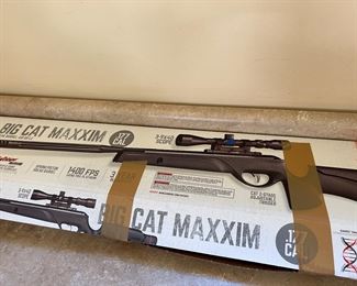 Big Cat Maxxim Air Rifle