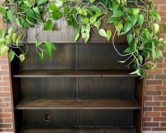 MCM Dark Wood And Veneer Book Shelf With Metal Insert Top For Plants, (4) Arrowhead Live Plants
