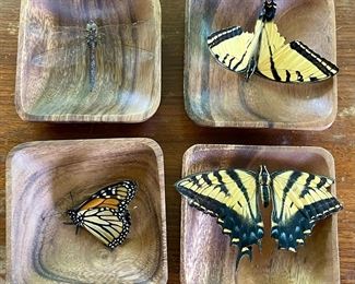 (3) Real Dried Butterflies And (1) Real Dried Dragonfly With Wood Bowls