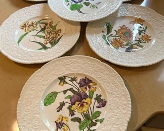 Set of 6 Cauldon Potteries Floral Plates